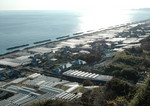 TBZ3